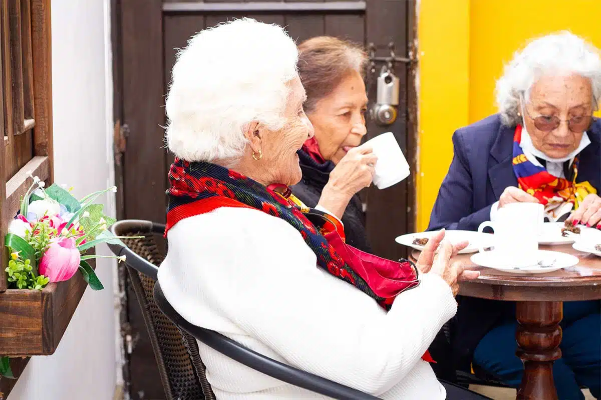 dieta sana en el adulto mayor