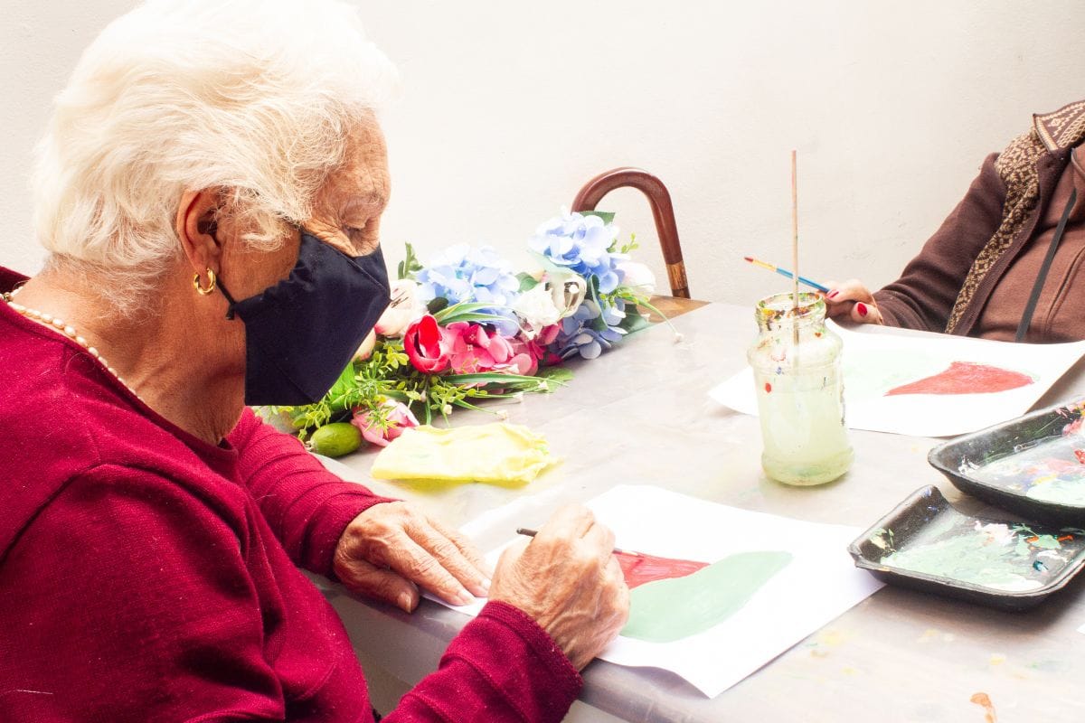 Hogares Geriátricos