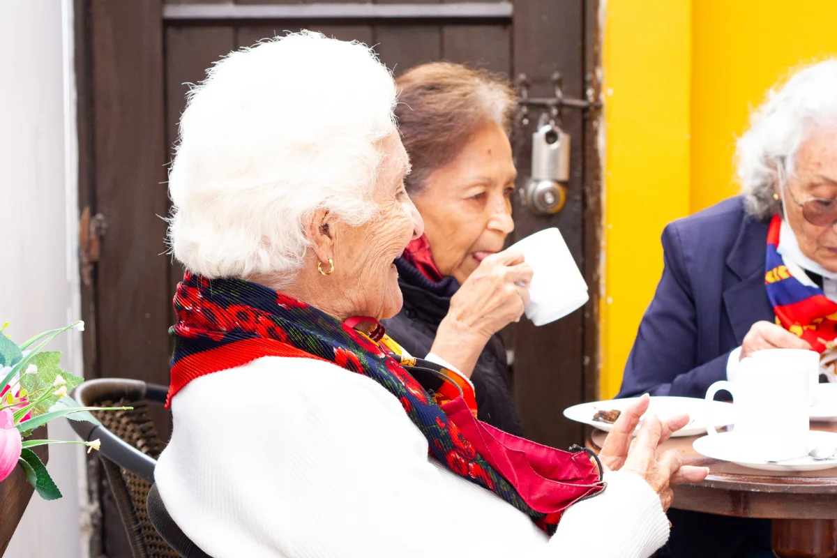 Enfermedades cognitivas en el adulto mayor